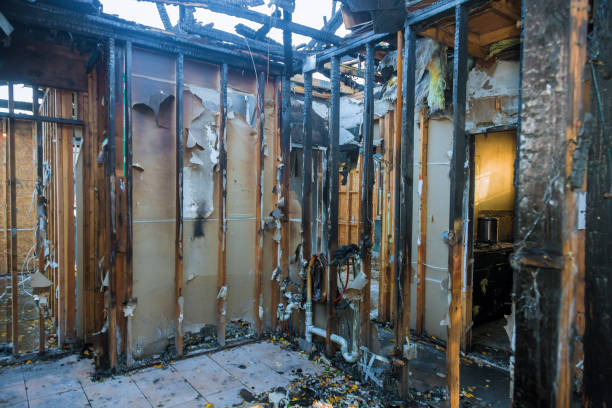 Professional Fire Damage Removal technician working in Bladensburg, MD
