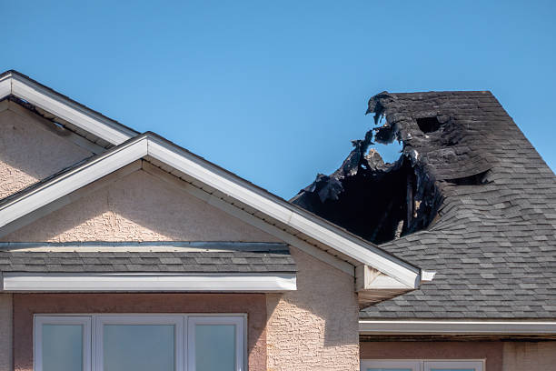 Top rated local Fire Damage Removal specialists in Bladensburg, MD